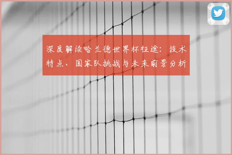 深度解读哈兰德世界杯征途:技术特点、国家队挑战与未来前景分析